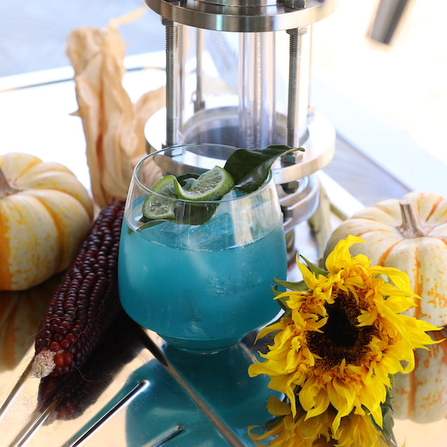 blue majik spirulina ginger beer